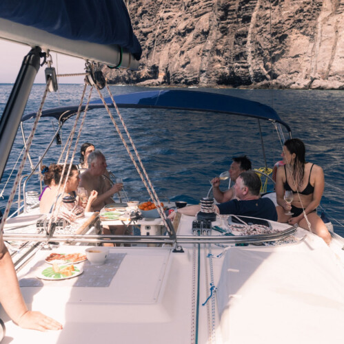 Avistamiento de cetáceos con sangría en Tenerife 37