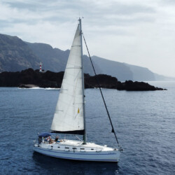 Avistamiento de cetáceos con sangría en Tenerife 39