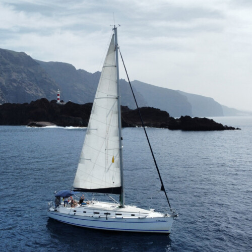 Avistamiento de cetáceos con sangría en Tenerife 39