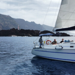 Avistamiento de cetáceos con sangría en Tenerife 46