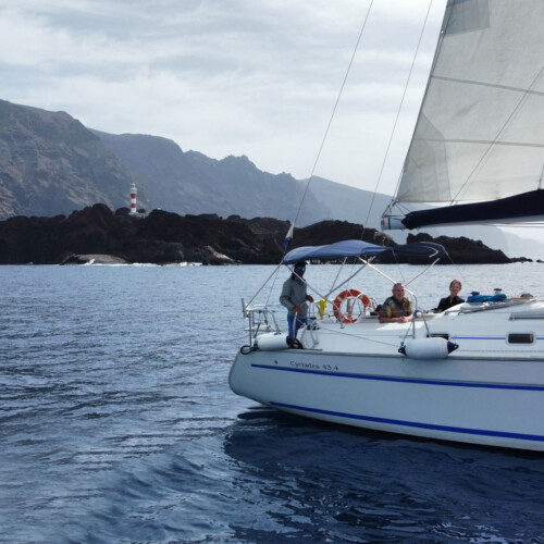 Avistamiento de cetáceos con sangría en Tenerife 46