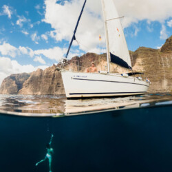 Avistamiento de cetáceos con sangría en Tenerife 47