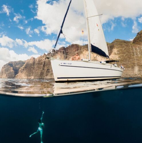 Avistamiento de cetáceos con sangría en Tenerife 47