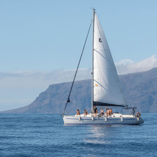 Avistamiento de cetáceos con sangría en Tenerife 50