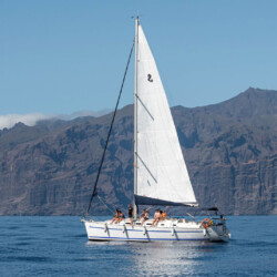 Avistamiento de cetáceos con sangría en Tenerife 52