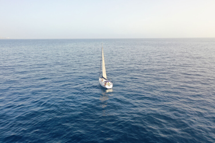 Avistamiento de cetáceos en Sangría Tenerife 6