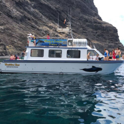 Barco Nashira Uno Avistamiento de Ballenas Los Gigantes 1