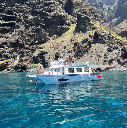 Barco Nashira Uno Avistamiento de Ballenas Los Gigantes 11