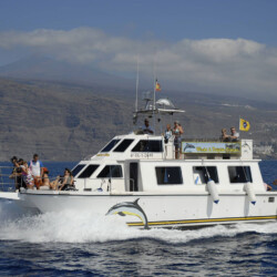 Barco Nashira Uno Avistamiento de Ballenas Los Gigantes 4