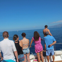 Barco Nashira Uno Avistamiento de Ballenas Los Gigantes 5