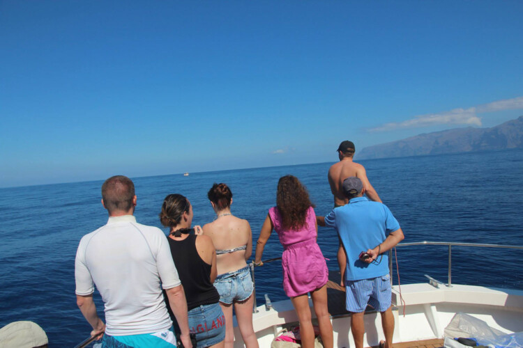 Barco Nashira Uno Avistamiento de Ballenas Los Gigantes 5