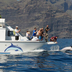 Barco Nashira Uno Avistamiento de Ballenas Los Gigantes 7