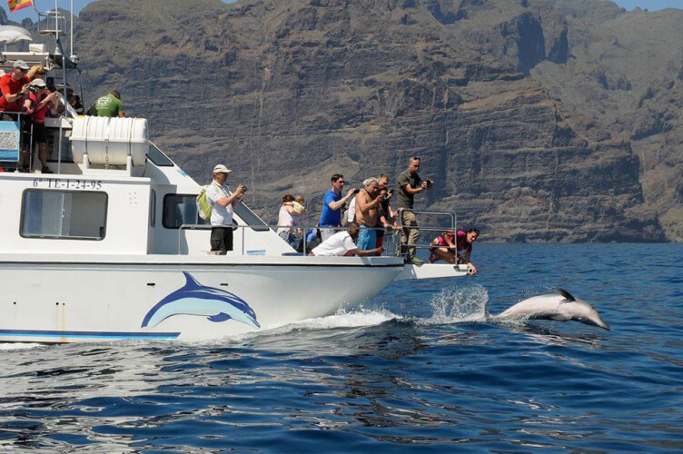 Barco Nashira Uno Avistamiento de Ballenas Los Gigantes 7